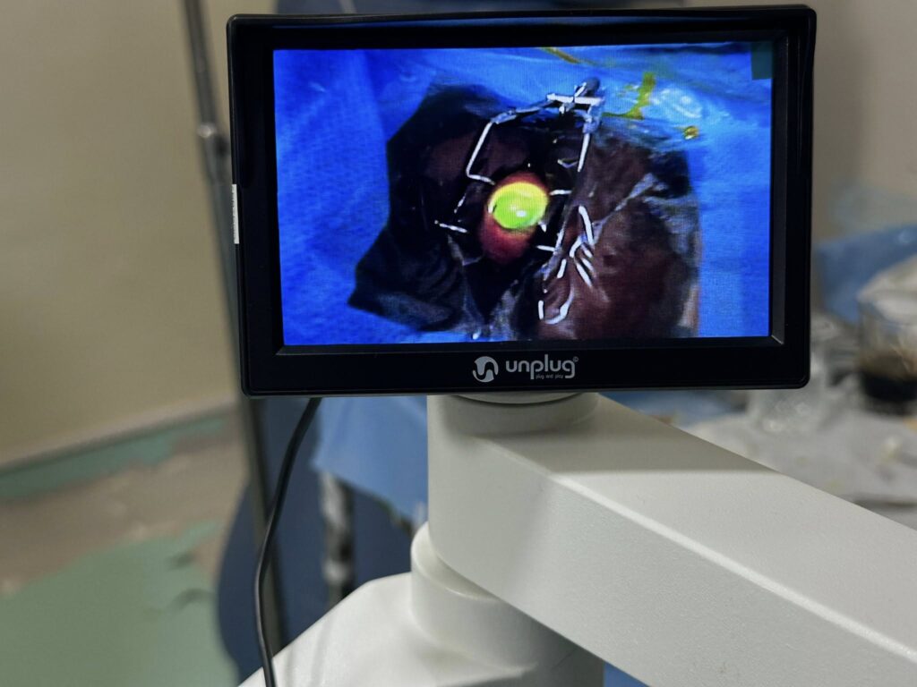 543389298 1077740864517338 2913922791337156350 n